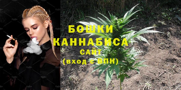 PSILOCYBIN Переславль-Залесский