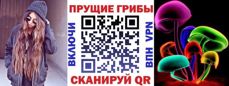 Псилоцибиновые грибы Cubensis  маркетплейс какой сайт  Апатиты 